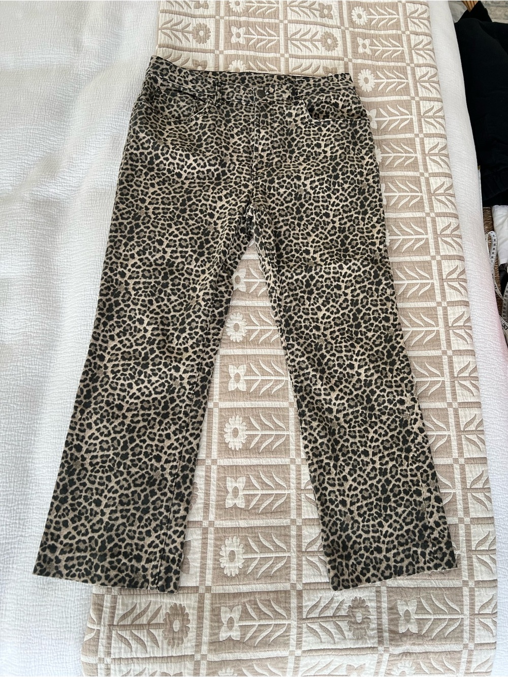 Zara Leopard Cheetah Print Jeans Pants